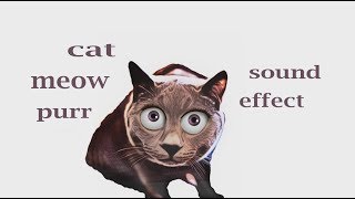 How A Cat Meow And Purr / Sound Effect / Animation