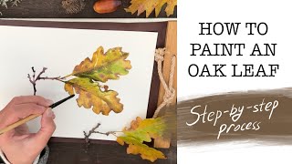 How to paint an oak leaf with watercolor