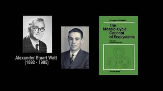 A Historical Overview of Treefall Gap Ecology ( Part 1)