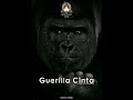 Guerilla Cinta JoPatri fc