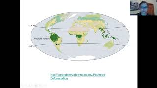 Patterns of bird diversity