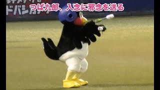 つば九郎、入念に邪念を送る