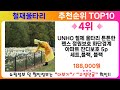 철재울타리 추천 랭킹 top 10 ii 철재울타리 인기상품 best 10