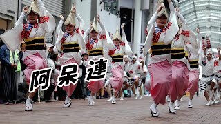 阿波おどりパレード 2019♪　阿呆連　東新町商店街