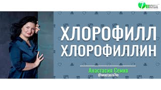 ХЛОРОФИЛЛ и ХЛОРОФИЛЛИН | Анастасия Семко