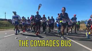 The Comrades Bus Experience - UpBuntu 2024