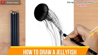 Online classes: How to draw a jellyfish/Sea species drawing series#2