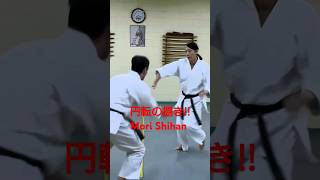 「躍動する円転の捌き‼」森道治師範八段 豪州流合氣柔術 [Self-defense] Mori Shihan 8thDan Goshu-Ryu Aiki Jujutsu AUS