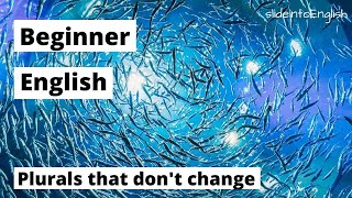 Learn English Plurals | Plurals That Don't Change