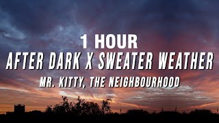 [1 HOUR] Mr. Kitty, The Neighbourhood - After Dark X Sweater Weather (TikTok Mashup) [Lyrics]