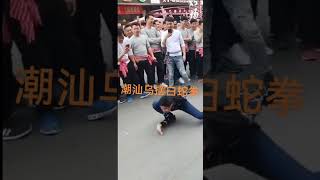 中国武术潮汕乌摆白表演蛇拳 #武术 #运动 #健身 #拳击 #传统文化 #潮汕