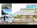 Backpacking Ke Taman Nasional Baluran Naik Damri | Termasuk Pantai Bama & Dermaga Mangrove