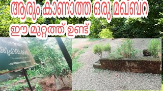 ആരും കാണാത്ത ഒരു മഖ്ബറ ഈ വീട്ടുമുറ്റത്ത് ഉണ്ട് ഒന്ന് കണ്ടു നോക്കൂ