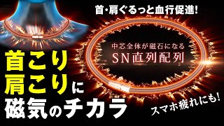 【日本直販 公式チャンネル】有名アスリートも愛用！Phitenの磁気ネックレス＜ファイテン RAKUWA 磁気チタンネックレス メタルトップ アクアチタン X50＞