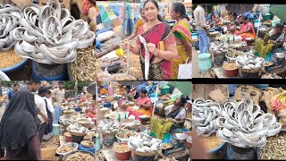 నెల్లూరులో😋😱 అతిపెద్ద ఎండి చాపల🐠🐠 మార్కెట్ |dry fish market |variety dry fish market🐠🐠#shortfeed