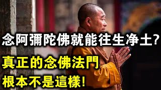 每天念念“阿彌陀佛”就能往生淨土？高僧一語道破，被歪解錯修了幾百年的念佛法門！