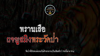 พรานเสือ ผจญสมิงพระวัดป่า | คนขี้เล่า