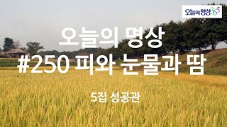 #250 피와 눈물과 땀 : 오늘의 명상 5집 성공관