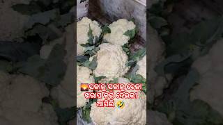 ସକାଳୁ ସକାଳୁ ବେଳା ଖରାପ୍ 🤣🤣#shortsvideo #viralvideos #shortsvideo #viralvideo #shorts #youtube