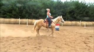 SOLD Harmony Reg AQHA palomino Mare