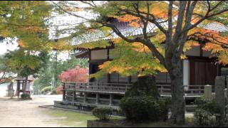 龍泉寺の秋