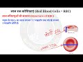 लाल रक्त कणिकाएं red blood cells structure and fuction of red blood cell lal rakt kanika rbc