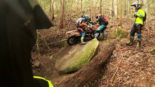 Ourimbah With Fearless FRANK