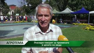 Агротема: Пчелари говорят за промяната в цената на меда, автор: Светлозара Димитрова