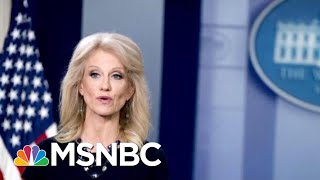 Kellyanne Conway Violated Hatch Act, Suggests Removal From Federal Service | Andrea Mitchell | MSNBC