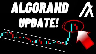 Algorand (ALGO) Crypto Coin Bull Run!!!