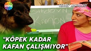 Pembe ve Kont ingilizce dersinde! | Cennet Mahallesi