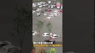 【辽宁】沈阳暴雨过后成水城 轿车如海草随浪而动