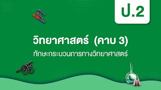 ทักษะกระบวนการทางวิทยาศาสตร์ | วิทยาศาสตร์ ป.2 หน่วยที่ 1