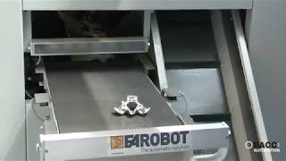 BACCI AUTOMATION - Deburring Island with Vision System