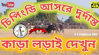 চিপিংডি আসরে দুর্দান্ত। কাড়া লড়াই দেখুন #viralvideo #unfrezzmyaccount