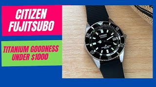 Better than Seiko! Citizen Fujitsubo Diver - titanium goodness under $1000