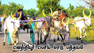 வெற்றியூர் பந்தயம் பெரிய மாடு 24 வண்டிகள்