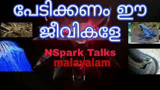 പേടിക്കണം ഈ ജീവികളെ by NSpark  Talks  malayalam