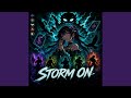 We Are The Storm