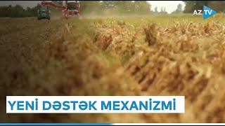 Sahibkarlara yeni dəstək mexanizmi hazırlanır