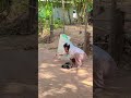 อะไรแว๊บๆฮามาก hey what s so funny funny comedy shortvideo shortsfeed haha ขำๆ