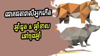 ជោគជតារាសីអ្នកកើតឆ្នាំជូត និង ឆ្នាំខាល រយៈពេលចុងឆ្នាំ (ចំនុចគួរប្រយ័ត្ន)