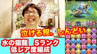 ハイパーでもキツい（；＿；）【水の猫龍】Sランク　低レア度編成　無課金ブブソニ　じゃじゃーん菊池