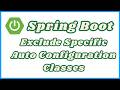 Exclude Auto Configuration Classes in Spring Boot