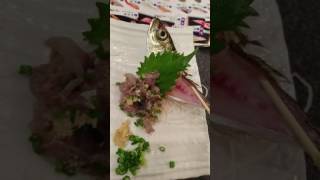 寿司ざんまいの活あじたたき201611_fresh sashimi