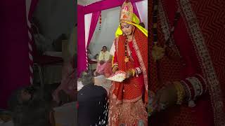 Kumaoni Wedding | Phere | #kumaoniwedding #kumaoniculture #rituals #ytshorts #youtube #viralvideo