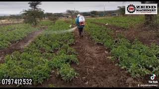 MOTORIZED KNAPSACK SPRAYER - KENYA