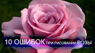 Рисование розы. 10 основных ошибок