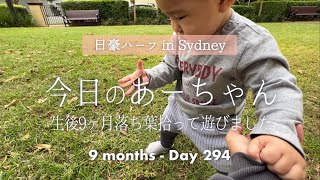 【生後9ヶ月】公園で落ち葉を拾って遊びました。