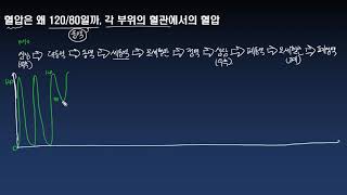 V04 혈압은 왜 120/80일까, 각 부위의 혈관에서의 혈압